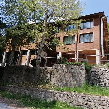 Вила Добро Поле Blagoevgrado Exterior foto