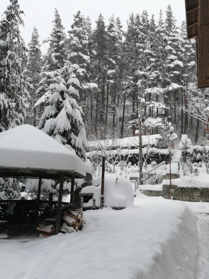 Вила Добро Поле Blagoevgrado Exterior foto