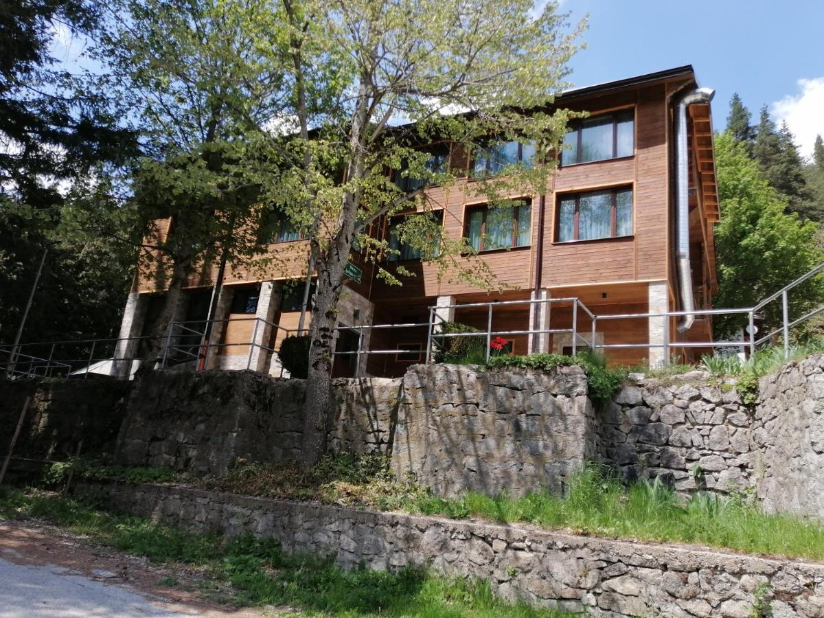 Вила Добро Поле Blagoevgrado Exterior foto